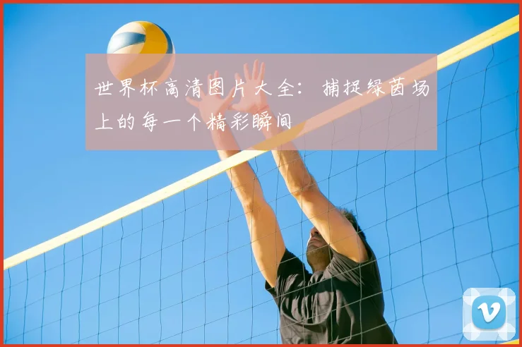 世界杯高清图片大全：捕捉绿茵场上的每一个精彩瞬间