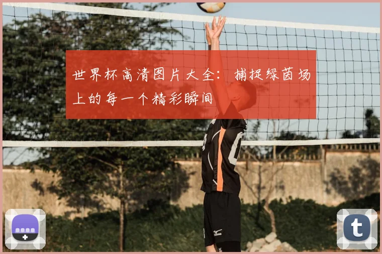 世界杯高清图片大全：捕捉绿茵场上的每一个精彩瞬间
