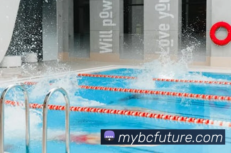 环球体育平台官网平台生态图